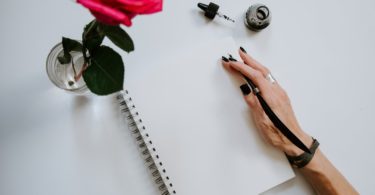 person holding red rose and white spiral notebook